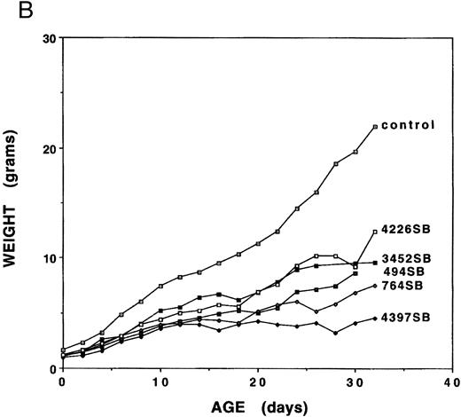 Fig. 1. Growth retardation of fit1 mutants. (A) Representative fit1 mutants, each expressing one of the five fit1 alleles, shown with one wild-type littermate (far right). The genotypes of the mice, beginning at the left, are: c fit14397SB/c26DVT; c fit1494SB/c26DVT; c fit1764SB/c26DVT; c fit13452SB/c26DVT; c fit14226SB/c26DVT; and cch +/c26DVT. All mice shown are 26 days old. The wild-type littermate is from the mating that generated the fit1494SB mutant shown. (B) Growth curves of fit1 mutants and wild-type littermates (cch +/cch +). The graph shows the mean weight of each group of mice (mutants or wild-type) plotted versus the day of weight measurement (the date of birth was designated day 0).