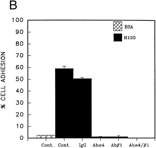 Fig. 2. (A) Adhesion of CD34 cells isolated from mini-Macs to BSA and H0 and H120 fragments coated at different concentrations. All adhesion experiments were for 30 minutes at 37°C. All histograms in all figures for adhesion and migration represent the mean of duplicate wells ± SD. Student's t-test was used to calculate P values. (B) Adhesion of CD34 cells to H120 fragment coated at 15 μg/mL showing inhibition by blocking anti-α4 and anti-β1 antibodies, but not by IgG control. (C) Adhesion of CD34 cells to BSA and H0 and H120 fragments coated at 15 μg/mL with and without a mixture of growth factors; IL-3 (10 ng/mL), SCF (100 ng/mL), G-CSF (500 ng/mL), and IL-6 (200 U/mL). Reduction in adhesion to H120 induced by growth factors was significant (P < .05). (D) Adhesion of CD34 cells to H120 fragment coated at 15 μg/mL with IL-3 10 ng/mL, SCF 100 ng/mL, and G-CSF 500 ng/mL added together and separately at different concentrations. Changes in adhesion were significant for all growth factors (P < .005), IL-3 10 ng/mL (P < .01), IL-3 100 ng/mL (P < .005), and SCF (P < .05).