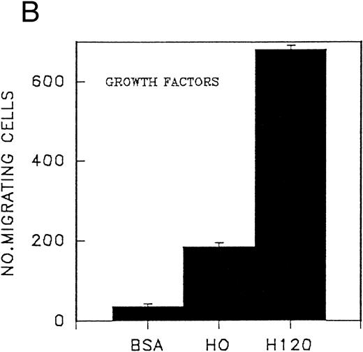 Fig. 4. (A) Migration of CD34 cells from a peripheral blood stem cell harvest over 16 hours at 37°C through filters coated with H120 15 μg/mL and BSA with and without a mixture of SCF 100 ng/mL, IL-3 10 ng/mL, G-CSF 500 ng/mL, and IL-6 200 U/mL. Migration was increased with H120 compared with BSA (P = .01) in the presence of growth factors. (B) Migration of CD34 cells over 16 hours through filters coated with BSA, H120, and H0 at 15 μg/mL with the mixture of growth factors used in (A). Migration was increased with H120 compared with BSA (P < .001) and H0 (P < .001).