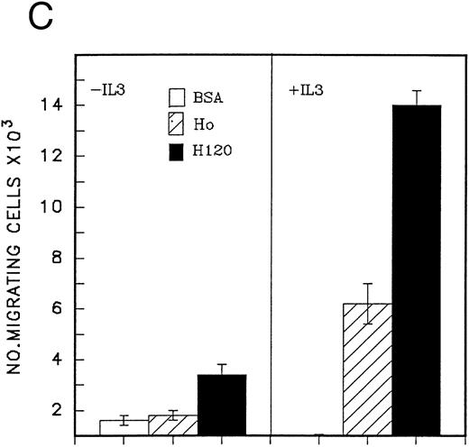 Fig. 5. (A) Migration of CD34 cells over 16 hours at 37°C through filters coated with H120 at 15 μg/mL with IL-3 10 ng/mL, SCF 100 ng/mL, and G-CSF 500 ng/mL separately and in combination. IL-3 alone stimulated more migration than SCF (P = .01) and G-CSF (P = .01) alone. (B) Migration of CD34 cells over 16 hours at 37°C through filters coated with H120 at 15 μg/mL with different concentrations of SCF, IL-3, and G-CSF. A total of 1 ng/mL IL-3 stimulated more migration than 10 ng/mL SCF (P < .05). (C) Migration of CD34 cells from cord blood over 16 hours at 37°C through filters coated with BSA and H120 and H0 coated at 15 μg/mL with and without IL-3 10 ng/mL. Migration on H120 is increased with IL-3 (P < .005). (D) Migration of CD34 cells from cord blood over 4 hours at 37°C through filters coated with H120 at 15 μg/mL with IL-3 10 ng/mL. Effect of blocking anti-α4 and anti-β1 antibodies on IL-3 stimulated migration. Significant reduction occurred with anti-α4 (P < .01), anti-β1 (P = .01), and the combination (P = .001).