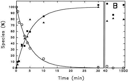 Fig. 1. Time course of PAI-1 cleavage by thrombin and of thrombin/PAI-1 complex formation. Thrombin (600 nmol/L) and PAI-1 (3,600 nmol/L) were incubated at 37°C as described under the Experimental Procedures. At the indicated time points aliquots were withdrawn and subjected to 10% (wt/vol) SDS-polyacrylamide gel electrophoresis, stained with Coomassie Brilliant Blue (A). The indicated reaction products were quantified by densitometry and the amounts obtained were expressed as percentage of maximum intensity observed for each individual band (B). The lines represent the outcome of nonlinear regression analysis, according to a single-exponential reaction mechanism. The rate of disappearance of the thrombin band yields a second-order rate constant for inhibition of 9.8 × 102 L mol−1 s−1. (A) “A” represents PAI-1; “B” represents thrombin. Times were as indicated (min). (B) (○), thrombin; (▪), cleaved PAI-1; (▴), PAI-1/thrombin complex.