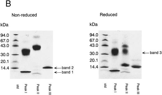 Fig. 3. Separation of thrombin digest of rTFPI on reverse phase-HPLC. (A) The 9.5 hours digest of rTFPI with thrombin was applied to a COSMOSIL 5C18-300 column that had been equilibrated with 0.05% trifluoroacetic acid. The fragments were eluted with 0.05% trifluoroacetic acid containing a linear concentration gradient of acetonitrile from 36% to 54%. (B) SDS-PAGE of each fraction, peak I, peak II, and peak III from reversed phase HPLC. See text for nomenclature of band 1, band 2, and band 3.