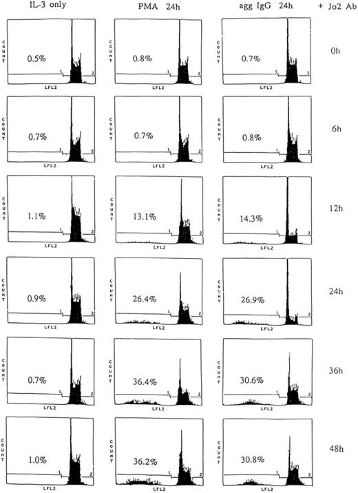 Fig. 6. Induction of apoptotic cell death in CD95 expressed 185-4 cells. The 185-4 cells were cultured with aggregated IgG (50 μg/mL), PMA (100 ng/mL), or rIL-3 (50 U/mL) as the negative control. After 24 hours, 1 × 106 cells were exposed to 1 μg/mL of anti-CD95 (Jo-2) MoAb and incubated for the indicated periods. Cells were then stained with PI. Percentages of apoptotic cells were determined using an EPICS PROFILE flow cytometer. A representative of three experiments is shown.
