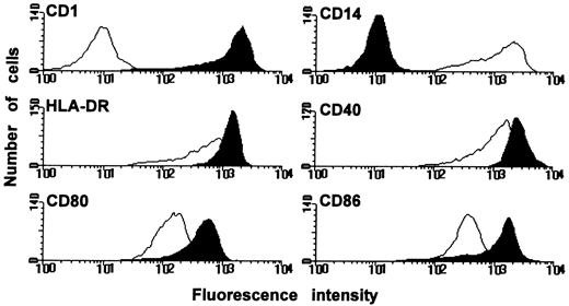 Fig. 1. Surface phenotype of DC and Mφ. DC and Mφ were generated by culturing PB monocytes for 6 days in the presence of GM-CSF with or without IL-4, respectively. Subsequently, the expression of several surface molecules was determined by FACS analysis; DC black histograms; Mφ white histograms. Results are representative of eight independent experiments.