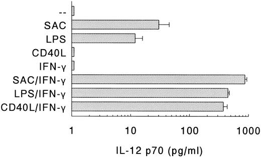 Fig. 3. Production of IL-12 p70 by DC. DC were stimulated with SAC, LPS, or soluble rCD40L in the absence or presence of IFN-γ. Supernatants were procured after 24 hours and levels of IL-12 p70 were analyzed. Results are presented as mean production ± SEM of four independent experiments.