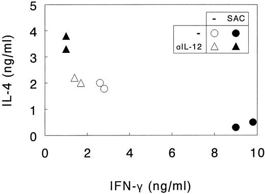 Fig. 5. SAC-activated DC direct Th1 development from naive Th cells through the release of IL-12. Naive Th cells were activated by SEA presented by autologous DC. DC were or were not activated with SAC and endogenous IL-12 production was or was not neutralized with anti-IL-12 (αIL-12). Th cells were cultured for 14 days, the last 7 days in the presence of rIL-2 and restimulated with CD3 and CD28 MoAb. Supernatants were procured after 24 hours and levels of IL-4 and IFN-γ were analyzed. Results are shown as duplicate points representing two independent primary cultures treated under identical conditions in the same experiment. Data are representative of three independent experiments.