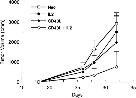 Fig. 1. Effect of irradiated A20 cells mixed with gene-modified fibroblasts expressing CD40L or IL-2 on the growth of preexisting tumor. Four groups of mice (seven per group) were challenged with 105 A20 cells on day 1. On days 4 and 14, mice received SQ injection of 105 A20 cells mixed with 2 × 105 transduced CL7.1 fibroblasts expressing either the CD40L or IL-2 gene, or neo (control). Before injection, the cell mixture was irradiated to 1,000 cGy. The fourth group of mice was treated with irradiated A20 cells and a combination of fibroblasts expressing either CD40L or IL-2. Tumor volumes are shown as the mean mm3 ± standard error of mean (SEM).