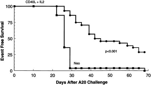 Fig. 2. Tumor-free survival of mice receiving neo-transduced fibroblasts (n = 28) or CD40L and IL-2 transduced cells (n = 28). Only in the CD40L and IL-2 group was there discernible long-term tumor-free survival and absence of tumor at necropsy.