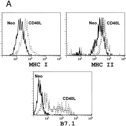 Fig. 3. Coculture of A20 cells with fibroblasts expressing CD40L upregulates antigen expression. A total of 106 lymphoblastoid A20 cells were cocultured with 2 × 105 fibroblasts expressing either the neo gene as a control (solid line) or CD40L (broken line). After 3 days of culture, A20 cells were examined for surface antigen expression using FACS analysis. (A) Shows upregulation of B7.1 and of MHC Class I and II, while (B) shows upregulation of FAS (left panel) with a consequent increase in A20 cell death on addition of the FAS-binding antibody Jo-2 (right panel).