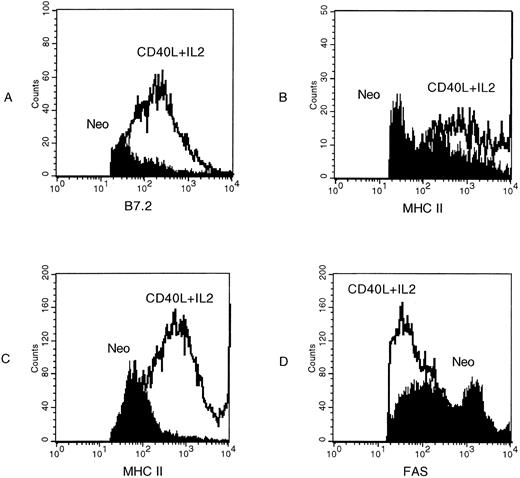 Fig. 4. FACS analysis of tumor cells from control (neo ) mice compared with cells from mice treated with gene-modified CL7.1 fibroblasts expressing CD40L. (A) and (B) Show upregulation of B7.2 and MHC class II on CD11a+ antigen presenting cells, while (C) shows upregulation of MHC class II on infiltrating CD3+ T lymphocytes. (D) Shows that there is no upregulation of fas on the surface of B220+ A20 cells in the presence of CD40L.