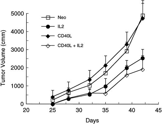 Fig. 5. Irradiated WEHI-3 cells mixed with gene-modified fibroblasts expressing CD40L have no effect on the growth of preexisting tumor. Four groups of mice (seven per group) were challenged with 105 WEHI cells on day 1. On days 4 and 14 mice received SQ injection of 105 WEHI cells mixed with 2 × 105 transduced CL7.1 fibroblasts expressing either the CD40L or IL-2 gene, or neo (control). Before injection, the cell mixture was irradiated to 1,000 cGy. The fourth group of mice was treated with irradiated WEHI cells and a combination of fibroblasts expressing either CD40L or IL-2. Tumor volumes are shown as the mean mm3 ± SEM.