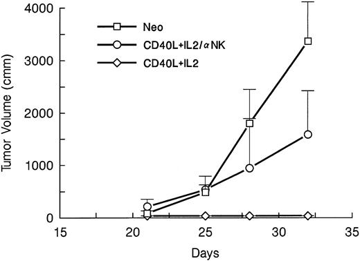 Fig. 7. NK cells also contribute to the inhibition of preexisting leukemia following CD40L/IL-2 costimulation. Four groups of mice (seven per group) were challenged with 105 A20 cells on day 1. On days 4 and 14, the animals were treated with irradiated A20 cells mixed with fibroblasts expressing either the CD40L or IL-2 gene or neo (control). Mice were depleted of NK cells by IV injection of the antiasialo GM-1 MoAbs 1 day before tumor challenge and again on 2 days per week for 2 weeks. The data are reported as mean mm3 ± SE.