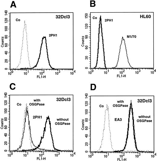 Fig. 1. FACS analysis of 32Dcl3 and HL60 cells with the anti–PSGL-1 MoAb 2PH1. 32Dcl3 cells and HL60 cells (as indicated) were analyzed by flow cytometry with MoAb 2PH1 and control antibodies. Binding of 2PH1 to 32Dcl3 cells (A) and to HL60 cells (B). Positive control staining of HL60 cells with the anti–Mac-1 antibody M1/70 is shown as a faint line. (C and D) 32Dcl3 cells were either pretreated with O-sialoglycoprotease (with OSGPase, faint line) or mock-treated (without OSGPase, bold line) and then analyzed for binding of 2PH1 (C) or binding of the anti–PECAM-1 antibody EA3 (D). All dotted lines (Co) show negative control staining with a nonbinding rat IgG.