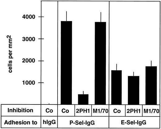 Fig. 3. Binding of 32Dcl3 cells to P-selectin-IgG but not to E-selectin-IgG can be blocked by anti–PSGL-1 MoAb 2PH1. Cell adhesion assays were performed with 32Dcl3 cells in 96-well microtiter plates coated with human IgG (hIgG), P-selectin-IgG (P-Sel-IgG), or E-selectin-IgG (E-Sel-IgG). Before the assay, cells were incubated with fivefold-concentrated hybridoma medium (Co), a fivefold-concentrated hybridoma supernatant of 2PH1 (2PH1), or a fivefold-concentrated hybridoma supernatant of the anti–Mac-1 antibody M1/70 (M1/70).