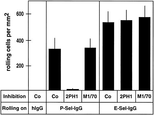 Fig. 4. Number of rolling 32Dcl3 cells on P-selectin-IgG but not on E-selectin-IgG is blocked by anti–PSGL-1 MoAb 2PH1. Flow adhesion assays were performed with 32Dcl3 cells in a planar laminar-flow chamber containing cover slips coated with human IgG (hIgG), P-selectin-IgG (P-Sel-IgG), or E-selectin-IgG (E-Sel-IgG). Before the assay, cells were incubated with fivefold-concentrated hybridoma medium (Co), a fivefold-concentrated hybridoma supernatant of 2PH1 (2PH1), or a fivefold-concentrated hybridoma supernatant of the anti–Mac-1 antibody M1/70 (M1/70).