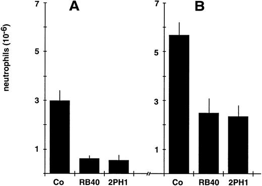 Fig. 5. Inhibitory effect of the anti–PSGL-1 MoAb 2PH1 on leukocyte recruitment in vivo. Mice were intravenously injected with either 50 μg (in 200 μL PBS) of the nonblocking control antibody 9DB3 against VCAM-1 (Co), 50 μg of the anti–P-selectin MoAb RB40.34 (RB.40), or 50 μg MoAb 2PH1 (2PH1), immediately followed by IP administration of thioglycollate. Peritoneal leukocytes were removed at 2 hours (A) or 4 hours (B) after stimulation, and neutrophil counts were determined. For the 4-hour time point, 2PH1 was injected twice at time 0 and at 2 hours (50 μg each). The data represent the mean ± SEM of ≥ 4 mice in each group. The depicted experiment represents 1 of 3 (for other time points) independent experiments with similar results.