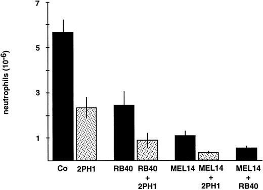 Fig. 6. Effects of antibodies against PSGL-1, P-selectin, and L-selectin on neutrophil recruitment in vivo. Mice were intravenously injected with 9DB3 (Co), 2PH1 (2PH1), anti–P-selectin RB40.34 (RB.40), a mixture of RB40.34 and 2PH1 (RB.40 + 2PH1), anti–L-selectin MEL14 (MEL14), a mixture of MEL14 and 2PH1 (MEL14 + 2PH1), and a mixture of MEL14 and RB40.34 (MEL14 + RB.40). Peritoneal leukocytes were removed at 4 hours after stimulation, and neutrophil counts were determined. Fifty micrograms of each antibody was injected. 2PH1 was injected twice at time 0 and at 2 hours (50 μg each). Data represent the mean ± SEM of ≥ 4 mice in each group. The depicted experiment represents 1 of 3 (for other time points) independent experiments with similar results.