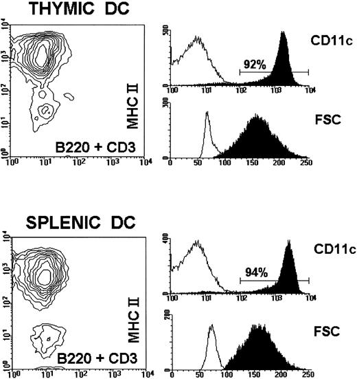 Fig. 1. Phenotypic analysis of DC preparations used in this study. Purified thymic and splenic DC from either BALB.D2 or BALB/c mice were tripled stained with PE-conjugated anti-MHC II, FITC-conjugated anti-B220 and anti-CD3, and biotin-conjugated anti-CD11c followed by streptavidin-tricolor. The figure shows the MHC II versus B220 + CD3 contour profile of BALB.D2 thymic and splenic DC, as well as the corresponding histograms for CD11c and FSC (black profiles). White profiles in the CD11c histograms represent streptavidin-tricolor background staining of the DC preparation. White profiles in the FSC histograms of the thymic and splenic DC preparations represent the FSC of total thymocytes and total splenocytes, respectively. The results shown demonstrate that the DC preparations had a purity greater than 90%. Similar results were obtained for DC isolated from BALB/c mice.