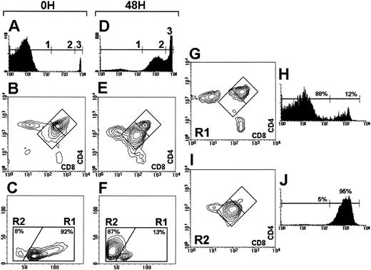 Fig. 2. A through E: PI staining (A,D), CD4 versus CD8 expression (B,E), and FSC versus SSC profile (C,F ) of αβ TCR transgenic thymocytes uncultured (A through C), and cultured for 48 hours (D through F ). PIlow, PIint, and PIhigh cells (regions 1, 2, and 3) represented 97%, 0.5%, and 2.5%, respectively in (A), and 10%, 44%, and 46% in (D). (G through J): correlation between CD4 versus CD8 expression and PI staining levels in the live cell gate (R1), and in the apoptotic cell gate (R2) of 48-hour cultured thymocytes.