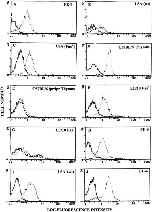 Fig. 2. Detection of Fas and FasL using flow cytometry. Various cells were stained for expression of Fas or FasL. A to G, Fas expression; H to J, FasL expression. Bold histograms represent cells incubated with FITC-conjugated secondary Abs only; broken histograms depict cells stained with anti-Fas or anti-FasL Abs + FITC-conjugated secondary Abs.