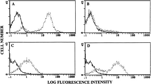 Fig. 7. PE-9 CTLs cultured with lysates of LSA or EL-4 cells exhibit apoptosis. PE-9 cells were cultured in the presence of cell lysates as described in Fig 6. They were stained with TdT + FITC-dUTP and analyzed using a flow cytometer. (A) Irradiated thymocytes as a positive control for apoptosis. PE-9 cells cultured with lysates from FasL-deficient P815 (B) or FasL+ LSA (C) or EL-4 (D) cells are depicted. Bold histograms represent negative controls consisting of cells cultured in the presence of medium; broken histograms show cells irradiated (A) or cultured with cell lysates (B, C, and D).