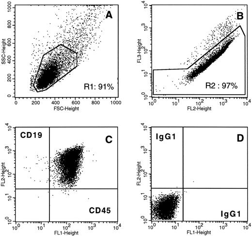 Fig. 1. Human tumor cells in a pre-pre-B-ALL (first relapse) BM biopsy implanted subcutaneously for 19 weeks in the SCID mouse. BM cells from engrafted sample R19 were dispersed, stained, and analyzed by flow cytometry. The implant marrow cell population is homogeneous in terms of physical parameters (A, forward-scatter v side-scatter analysis) and virtually exclusively composed of viable (B, PE (fl2) v PI (fl3) signals) leukemic CD45+CD19+ cells (C, gates R1 + R2). (D), control isotype antibody staining.
