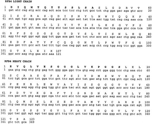 Fig. 1. Deduced amino acid sequence of the variable region of RFB4 light and heavy chains. Amino acids shown in bold were determined by N-terminal protein sequence analysis.