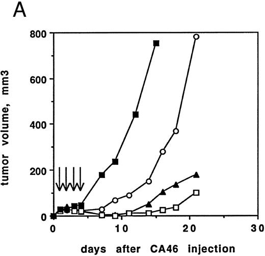 Fig. 6. (A) Antitumor activity of RFB4(dsFv)PE38. Athymic nude mice irradiated on day −3 were inoculated with 107 CA46 cells on day 0. Beginning on day 1, injections of 5, 2, or 1 μg RFB4(dsFv)PE38 or PBS/0.2% BSA were given every day for four doses. Tumor growth was monitored by measuring tumor volume and is expressed as the average tumor volume of each group. Control mice were killed before the end of the 21-day observation period because their tumor volumes would have exceeded humane limits. (□), 5 μg; (▴), 2 μg; (○), 1 μg; (▪), PBS/0.2% BSA diluent control. Data are from one of two experiments that gave similar results. (B) Antitumor activity of RFB4(dsFv)PE38. Athymic nude mice irradiated on day −4 were inoculated with 5 × 106 CA46 cells on day 0. Beginning on day 1, injections of 5, 3, or 1 μg RFB4(dsFv)PE38, 5 μg nonrelevant control dsFv-PE38 immunotoxin, or PBS/0.2% BSA diluent were given every day for four doses. Tumor growth was monitored by measuring tumor volume and is expressed as the average tumor volume of each group. (□), 5 μg; (▴), 3 μg; (○), 1 μg; (+), 5 μg nonrelevant control dsFv-PE38 immunotoxin; (▪), PBS/0.2% BSA diluent control. Data are from one of two experiments that gave similar results.