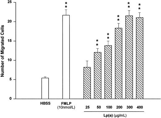 Fig. 1. Concentration-dependent effect of Lp(a) on human monocyte migration. Monocytes incubated at 37°C in Hanks' balanced salt solution containing BSA 0.4% (HBSS) were permitted to migrate across polycarbonate membranes (pore size 5 μm) for 90 minutes. After fixation and staining, migrated cells attached to the lower side of the membrane were counted under the microscope using oil-immersion at a 1,000-fold magnification. **P < .01 versus basal value without chemoattractant (HBSS). Cell numbers represent the mean ± SEM of migrated monocytes per high-power field of six independent experiments. Seven fields were counted and experiments were performed in triplicate.