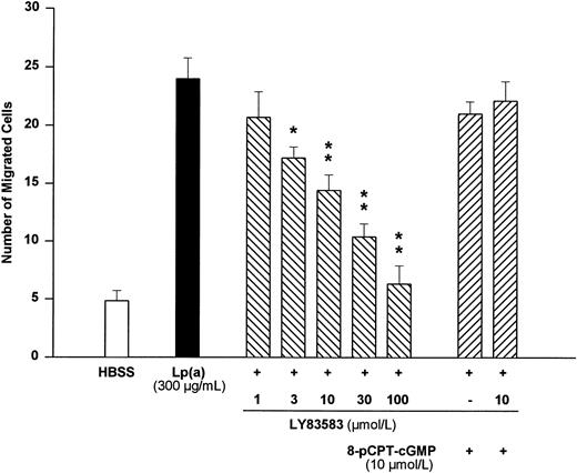 Fig. 6. Concentration-dependent effects of the soluble guanylyl cyclase inhibitor LY83583 on human monocyte migration elicited by Lp(a) (300 μg/mL). Monocytes were preincubated with LY83583 for 15 minutes before addition of the chemoattractant Lp(a) (300 μg/mL). When the stable cGMP analog 8-pCPT-cGMP was used, the compound was added together with Lp(a) to the lower compartment of the chemotaxis chamber. *P < .05 and **P < .01 versus Lp(a) (300 μg/mL). Cell numbers are expressed as mean ± SEM per high-power field of four independent experiments.