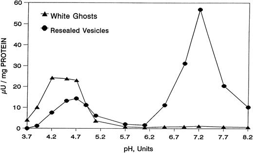 Fig. 1. Effect of pH on the sialidase activity contained in human erythrocyte white ghosts and resealed ghosts. For details, see Materials and Methods.