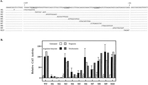 Fig. 4. Mutational analysis of the γ-globin promoter. (A) Sequence of the γ-globin promoter between −149 and −55. The 10-bp substitution mutations are indicated below. In addition to the 10-bp mutation, M1 has one base changed upstream of −149 in a region that does not appear to be important for butyrate induction (see Fig 3). (B) Activity of mutated γ-globin promoter constructs in K562 cells treated with butyrate, trapoxin, or trichostatin. After transfection, cells were cultured for 36 hours with no addition (Untreated) or with 1 mmol/L arginine-butyrate, 2.5 nmol/L trapoxin, or 100 nmol/L trichostatin. After harvesting, CAT activity was determined in the cell extracts. The CAT activity for each mutant is expressed relative to the activity of the unmutated −198 plasmid (WT) stimulated with butyrate, whose activity is set to 100%. Each construct was tested a minimum of three times with butyrate and the height of the bars represents the mean of all experiments, with the error bars indicating the standard deviation. Each construct was tested two or three times with trapoxin or trichostatin, and a representative experiment is shown.