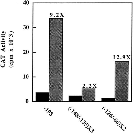 Fig. 5. Activity of multimers of the CCACCC and CCAAT box regions of the γ-globin promoter. A trimer of the CCACCC box region (−148/−135) or a dimer of the CCAAT box region (−126/−66) was cloned into the −54 γ-globin promoter-CAT plasmid. These constructs were then transfected into K562 cells that were left untreated (▪) or treated with 1 mmol/L arginine butyrate (). A representative experiment of three trials for each multimer is shown.