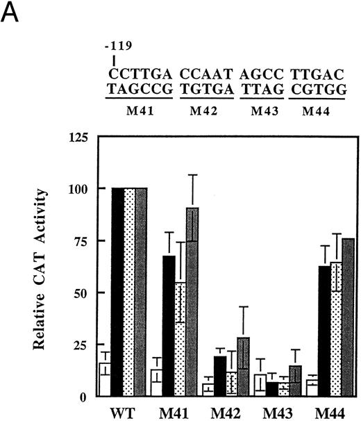 Fig. 6. Mutational analysis of the CCAAT box region of the γ-globin promoter. The indicated base substitution mutations were introduced into the −198 γ-globin-CAT plasmid in the distal (A) or the proximal (B) CCAAT box. Transfections were performed as usual, and cells were left untreated (□) or treated with 1 mmol/L arginine-butyrate (▪), 2.5 nmol/L trapoxin (▧), or 100 nmol/L trichostatin () as indicated. CAT activity is expressed relative to the activity of the −198 construct (WT). The data shown are the average of two or three transfections done with each construct; error bars show the standard deviation where three trials were done.
