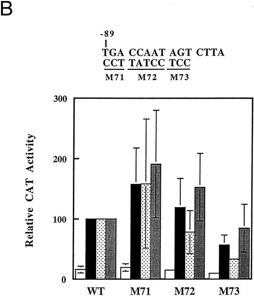Fig. 6. Mutational analysis of the CCAAT box region of the γ-globin promoter. The indicated base substitution mutations were introduced into the −198 γ-globin-CAT plasmid in the distal (A) or the proximal (B) CCAAT box. Transfections were performed as usual, and cells were left untreated (□) or treated with 1 mmol/L arginine-butyrate (▪), 2.5 nmol/L trapoxin (▧), or 100 nmol/L trichostatin () as indicated. CAT activity is expressed relative to the activity of the −198 construct (WT). The data shown are the average of two or three transfections done with each construct; error bars show the standard deviation where three trials were done.