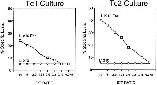 Fig. 4. Both Tc1 and Tc2 populations mediate fas-based cytotoxicity after pharmacologic stimulation. Tc1 and Tc2 populations were used as effector cells in standard 4-hour 51Cr-release assays at the stated E:T ratios with either the murine leukemia/lymphoma cell line L1210 or the fas-transfected L1210 line (L1210-fas) as target. Results shown are for Tc1 and Tc2 populations (day 13 of culture) that were activated for 24 hours with PMA (5 ng/mL) and calcium ionophore (375 ng/mL) before use as effectors in the chromium assay.