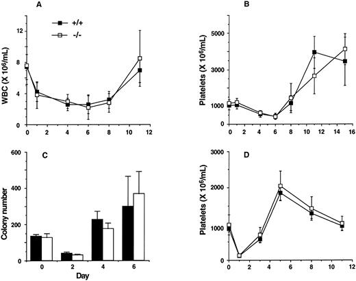 Fig. 6. Recovery of mature cells and progenitors after 5-FU–induced cytotoxicity and recovery of platelets after immune thrombocytopenia. Kinetics of recovery of white blood cells (WBC; A), platelets (B), and myeloid progenitors (C) after a single administration of 5-FU. The figure represents the mean ± SD of WBC and platelet numbers of IL11Ra+/+ (n = 6) and IL11Ra−/− (n = 5) mice after 150 mg/kg 5-FU (intraperitoneal). Granulocyte-macrophage colony number (mean ± SD) of replicate cultures from 3 mice of each genotype on days 2, 4, and 6 after 150 mg/kg 5-FU (intravenous) is also shown (C). Cultures contained 50,000 bone marrow cells stimulated with final concentrations of GM-CSF at 10 ng/mL, IL-3 at 10 ng/mL, IL-6 at 100 ng/mL, and SCF at 100 ng/mL. (D) Kinetics of recovery of platelets after a single intraperitoneal administration of antiplatelet serum. The figure represents the mean ± SD of platelet numbers (n = 5 IL11Ra+/+ mice; n = 6 IL11Ra−/− mice).