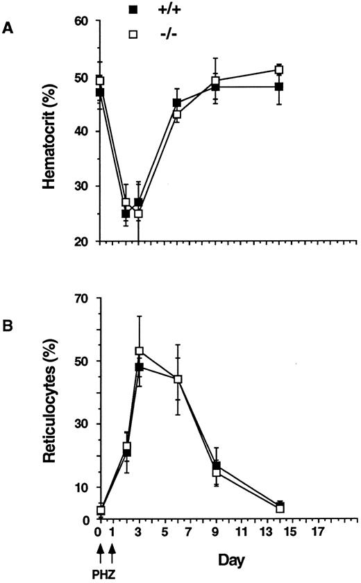 Fig. 7. Kinetics of recovery after acute hemolysis. Phenylhydrazine (PHZ; 60 mg/kg, intraperitoneal) was administered on days 0 and 1. Recovery was monitored by measurement of hematocrit and reticulocytes (mean % ± SD, n = 5, each genotype).