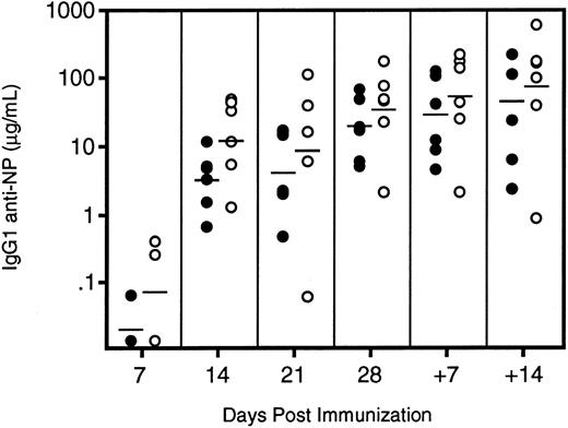 Fig. 8. Levels of IgG1 anti-NP antibodies in immunized (○) IL11R−/− and (•) IL11Ra+/+ mice. Six mice of each genotype were immunized at day 0 and the response was followed by serum ELISA at weekly intervals. The mice were boosted with a soluble form of the antigen 35 days after primary immunization and the secondary response measured after 7 and 14 days. The geometric mean of each group at each time point is indicated.