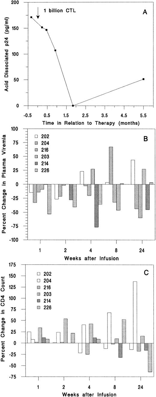Fig. 3. Change in plasma viral burden and CD4 T-cell count after infusion. (A) Acid-dissociated p24 Ag was detectable only in subject 216. (B) Plasma bDNA levels decreased in the first 2 weeks for five of six subjects, but only by small amounts. (C) The absolute CD4 count increased for the first 2 weeks after infusion for all subjects.