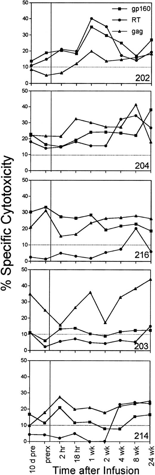 Fig. 4. The percentage of specific cytotoxicity of PBMC-derived T-cell lines against HIV env-, RT-, and gag-expressing autologous target cells measured just before the infusion and at 2 and 18 hours after the infusion and at later time points. No data are shown for subject 226, whose specific cytotoxicity against these targets was below background at all times. The background lysis of control targets expressing the lacZ gene was subtracted to determine the HIV-specific cytotoxicity, depicted at an E:T ratio of 25:1.