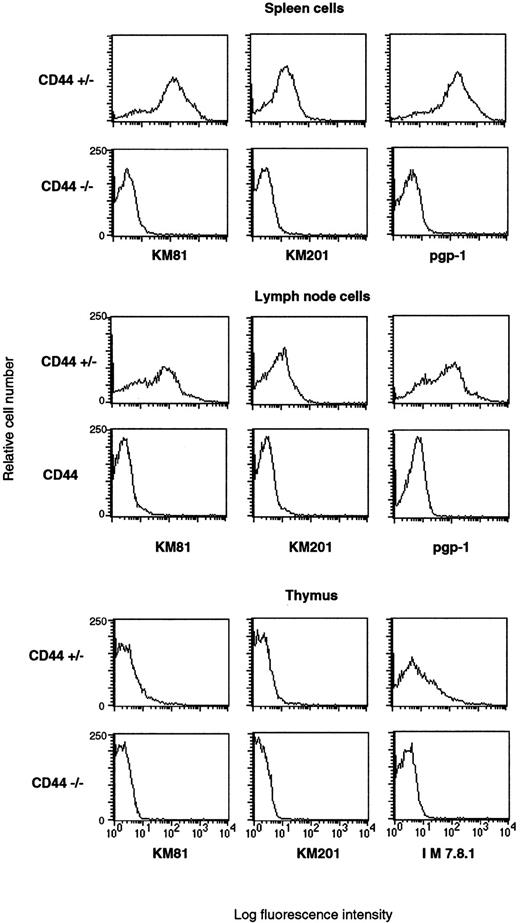 Fig. 2. Spleen, lymph node, and thymus cells from CD44 gene mutated mice lack surface expression of CD44. Lymph node cells, spleen cells, and thymocytes were stained with anti-CD44 KM81 supernatants and secondary labeled with PE-conjugated goat antirat, PE-conjugated anti-CD44 KM201, or PE-conjugated anti-CD44 IM 7.8.1 (pgp-1). Mice with homozygous disruptions in the CD44 gene show no detectable surface expression. FCM data were collected for viable lymphocytes according to side scatter (SSC) and foreward scatter (FSC).