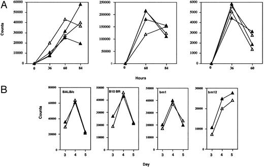 Fig. 6. Lymphocyte function in mutant mice. (A) Proliferation assay. T-cell enriched splenocytes and lymph node cell suspensions were prepared and stimulated with Con A (2.5 μg/mL), soluble hamster antimouse CD3 (10 μg/mL), or PMA (125 μg/mL) + Ca Ionophore (50 μL/mL). At indicated time points, proliferating cells were pulsed with 1 μCi 3H-thymidine and cultured overnight. Data represent average 3H-uptake of quadruplicates (closed triangles, +/−; open triangles, −/−). Similar results were obtained in three independent experiments. (B) MLRs were performed by mixing irradiated stimulator spleen cells (1 × 105) from C57BL/6, BALB/c, B10.BR, BM1, or BM12 mice with responder T-cell enriched splenocytes and lymph node cells (1 × 105) harvested from +/− (closed triangles) or −/− (open triangles) mice. Each line represents an individual mouse. (Results are shown for days 3, 4, and 5; similar results were obtained in three independent tests when littermates were used as responders.)