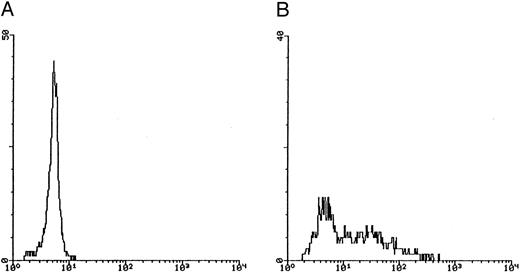 Fig. 4. Quantitative evaluation of apoptosis in CD34-derived megakaryocytes by the TUNEL technique. In (A) and (B), the intensity of fluorescence in the whole cell population was shown by flow cytometry at day 18 of liquid culture. (A) represents a negative control: cells treated with avidin-FITC. (B) shows a typical double profile in which the left area represents viable cells overlapping the negative control and the right area represents apoptotic cells that incorporate the biotin-UTP FITC-avidin complex. The × axis shows the relative fluorescence intensity. The y axis shows the relative number of cells. (C) shows the percentage of apoptosis evaluated by TUNEL technique and shown by flow cytometry at different culture times. Data are expressed as the means ± SD of four separate experiments performed in duplicate. In (D), apoptotic megakaryocytes appeared as intensively yellow-green fluorescent cells at confocal microscopy.