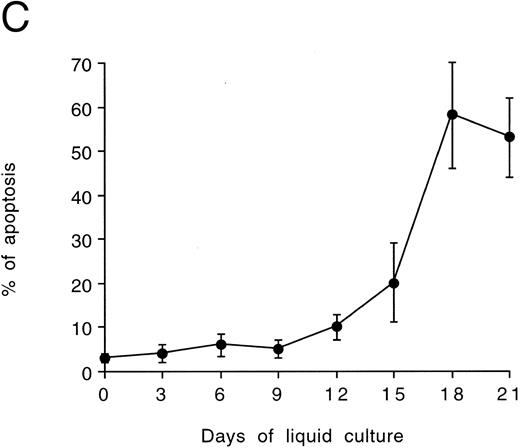 Fig. 4. Quantitative evaluation of apoptosis in CD34-derived megakaryocytes by the TUNEL technique. In (A) and (B), the intensity of fluorescence in the whole cell population was shown by flow cytometry at day 18 of liquid culture. (A) represents a negative control: cells treated with avidin-FITC. (B) shows a typical double profile in which the left area represents viable cells overlapping the negative control and the right area represents apoptotic cells that incorporate the biotin-UTP FITC-avidin complex. The × axis shows the relative fluorescence intensity. The y axis shows the relative number of cells. (C) shows the percentage of apoptosis evaluated by TUNEL technique and shown by flow cytometry at different culture times. Data are expressed as the means ± SD of four separate experiments performed in duplicate. In (D), apoptotic megakaryocytes appeared as intensively yellow-green fluorescent cells at confocal microscopy.