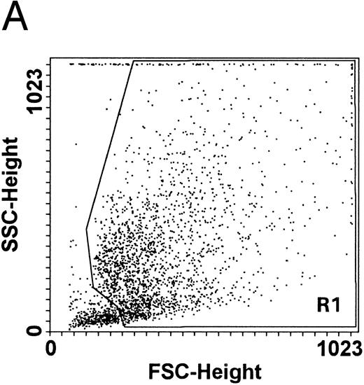 Fig. 5. Quantitative evaluation of apoptosis in CD34-derived megakaryocytes by supravital PI incorporation. (A) SSC/FSC dot plot showing the gate region (R1) used to analyze apoptotic cells. Gated apoptotic cells were monitored after 12 (B) and 21 (C) days of liquid suspension culture in the presence of 100 ng/mL of TPO. Left areas represent viable cells, which do not incorporate PI, whereas the right area represents apoptotic cells, incorporating PI. M1 is the percentage of apoptotic cells. The × axis shows the relative fluorescence intensity. The y axis shows the relative number of cells. Results of one experiment representative of three separate experiments are shown.