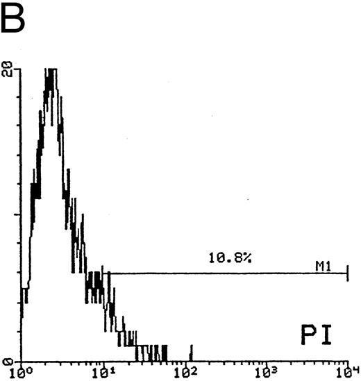 Fig. 5. Quantitative evaluation of apoptosis in CD34-derived megakaryocytes by supravital PI incorporation. (A) SSC/FSC dot plot showing the gate region (R1) used to analyze apoptotic cells. Gated apoptotic cells were monitored after 12 (B) and 21 (C) days of liquid suspension culture in the presence of 100 ng/mL of TPO. Left areas represent viable cells, which do not incorporate PI, whereas the right area represents apoptotic cells, incorporating PI. M1 is the percentage of apoptotic cells. The × axis shows the relative fluorescence intensity. The y axis shows the relative number of cells. Results of one experiment representative of three separate experiments are shown.
