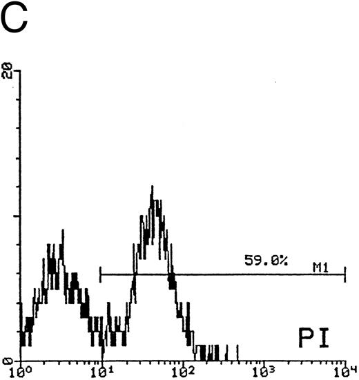 Fig. 5. Quantitative evaluation of apoptosis in CD34-derived megakaryocytes by supravital PI incorporation. (A) SSC/FSC dot plot showing the gate region (R1) used to analyze apoptotic cells. Gated apoptotic cells were monitored after 12 (B) and 21 (C) days of liquid suspension culture in the presence of 100 ng/mL of TPO. Left areas represent viable cells, which do not incorporate PI, whereas the right area represents apoptotic cells, incorporating PI. M1 is the percentage of apoptotic cells. The × axis shows the relative fluorescence intensity. The y axis shows the relative number of cells. Results of one experiment representative of three separate experiments are shown.