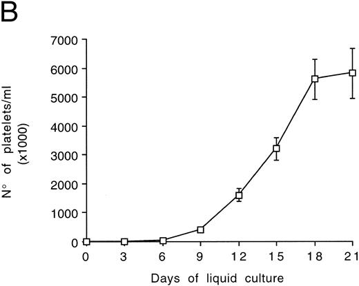 Fig. 6. Examination of morphology (A) and counts (B) of platelets released in the culture supernatants by CD34-derived megakaryocytes. (A) shows semithin sections with the presence of apoptotic (arrows) megakaryocytes surrounded by clusters of platelet-size fragments (*). OM × 40. In (B), gel-filtered platelets were counted at different culture times. Data are expressed as the means ± SD of three separate experiments performed in duplicate.