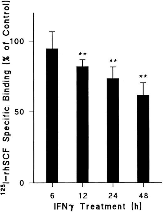 Fig. 2. Effect of duration of IFNγ incubation with day-5 ECFCs on reduction of 125I-rhSCF–specific binding. Control cells not treated with rhIFNγ were incubated for the same periods of time at 37°C and then specific binding was determined as in Fig 1. Data are expressed as a percentage of the control and as means ± SD of three experiments. (★★) P < .001 between control cells and rhIFNγ-treated cells. ECFC purity was 61% ± 9% for control cells and 57% ± 5% for rhIFNγ-treated cells at 24 hours (P = .17), with no significant change in total cell concentrations over 24 hours (P < .5).